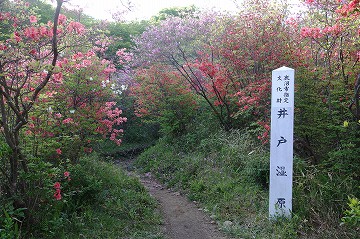 井戸湿原