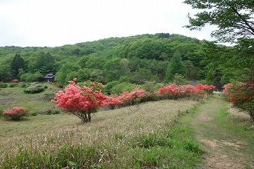 古峰ヶ原湿原と峠