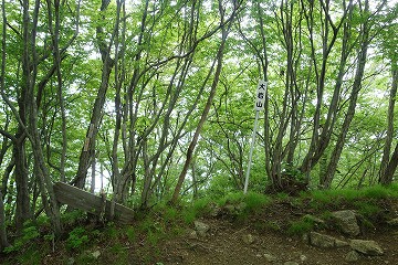 大岩山