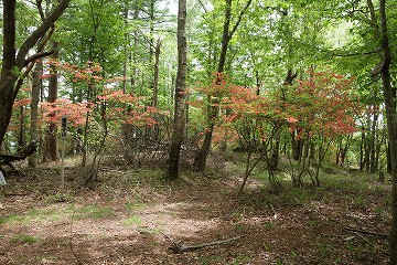 唐梨子山　からなしやま