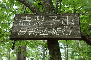 唐梨子山　からなしやま