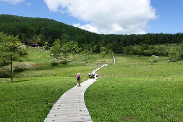 入笠湿原へ