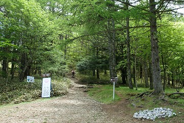 入笠山登山口