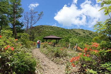 湯ノ丸高原　東屋