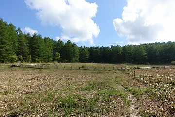 臼窪湿原