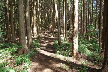 城山北東尾根