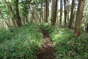 城山北東尾根