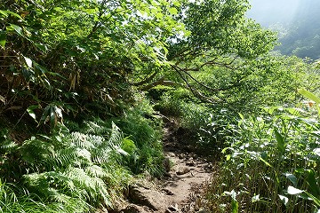 暑い小池新道