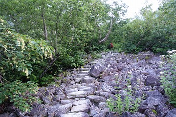 小池新道