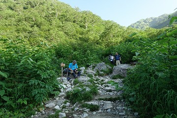 イタドリヶ原