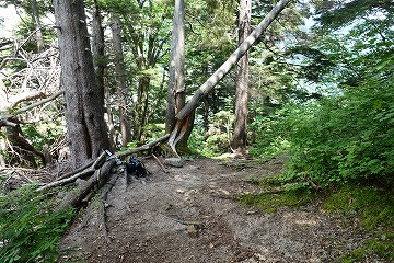 ブナ立尾根