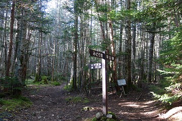 中山峠分岐