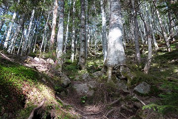 白砂新道