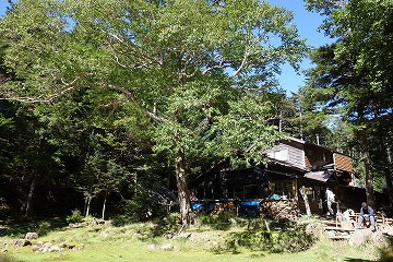 しらびそ小屋