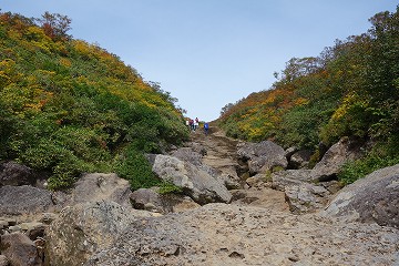 新湯沢