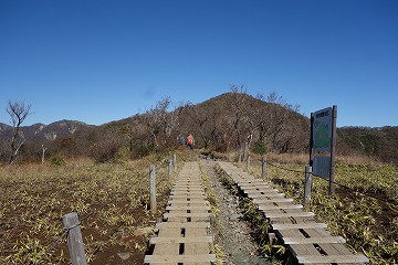 塔ノ岳へ