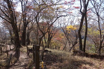 鍋割山稜へ