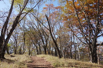 鍋割山稜