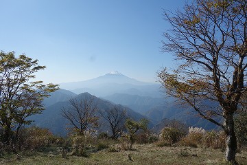 鍋割山　山頂