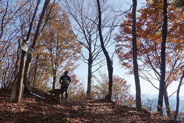 大沢山