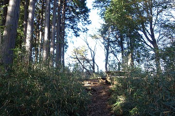 大洞山