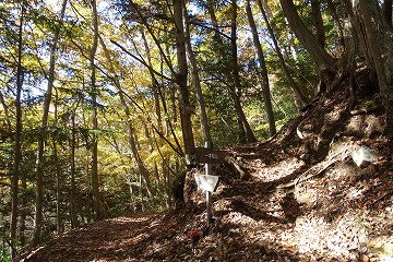 一本松山分岐