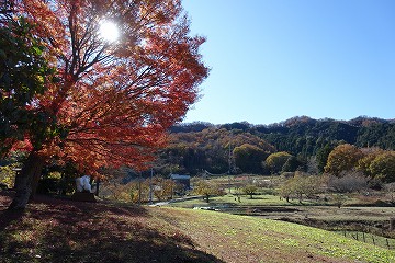 葛原（とづらはら）神社