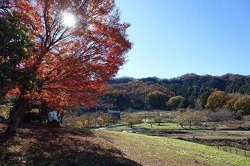 葛原（とづらはら）神社