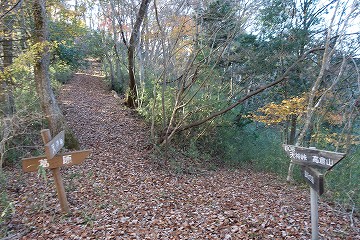 葛原分岐