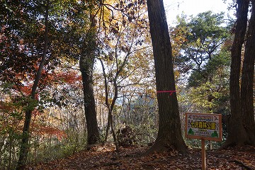 七沢森林公園