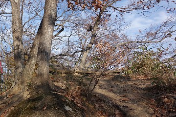 「奥むすび山」ベンチ