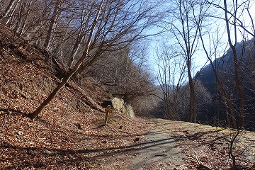 大菩薩峠登山口