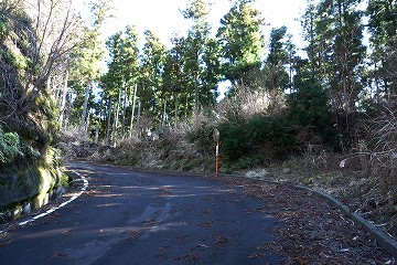 虫沢林道