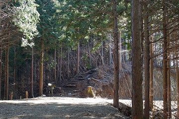 宮地山分岐