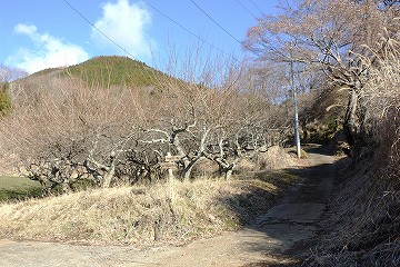 タケ山登山口