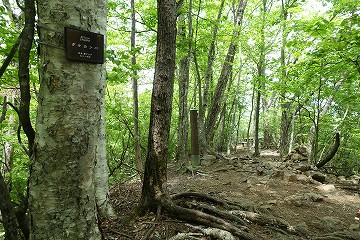 三頭山　中央峰