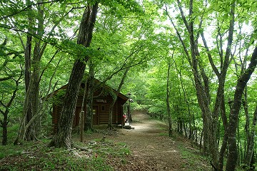 三頭山避難小屋