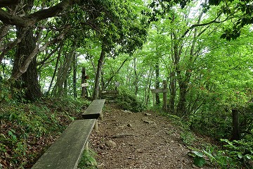 三頭大滝分岐