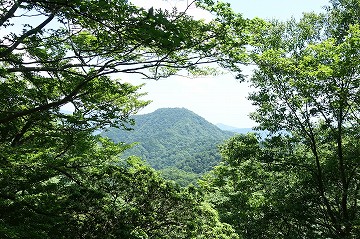 箒沢権現山