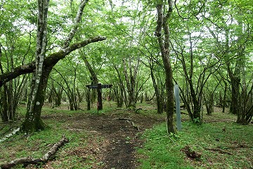 「立山山頂」