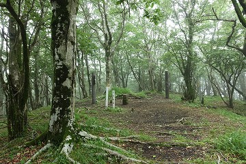 大洞山　山頂