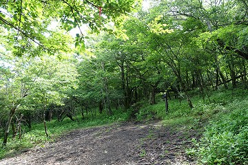 「立山砂場」