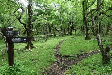 「立山展望台分岐」