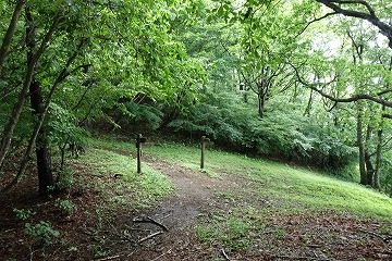 田和分岐