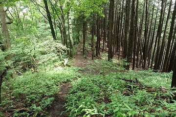 笛吹峠