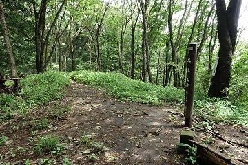 丸山山頂