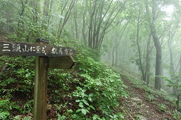 三頭山⇔数馬　分岐