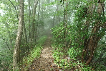 鋸尾根