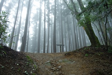 芥場峠