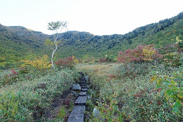 大日平